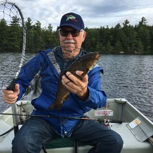 Meet your Posher, Bob